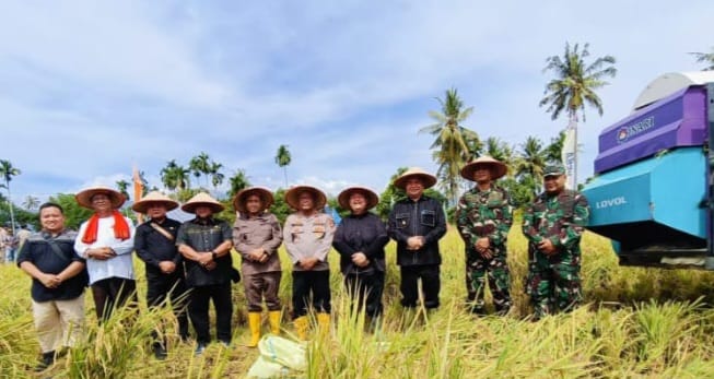 Bupati Salim Fakhry Bersama Forkopimda Panen Raya Padi Di Agara