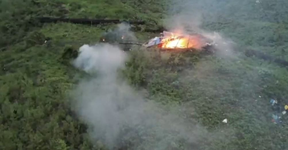 Meledak!! Pengembangan Bandar Narkoba Lintas Provinsi, 51,7 Hektar Ladang Ganja Dimusnahkan