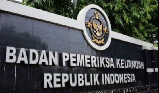 Ikhtisar Tindak lanjut BPK atas 286 Rekomendasi dan 111 Temuan di Aceh Selatan Tahun 2021 – 2025