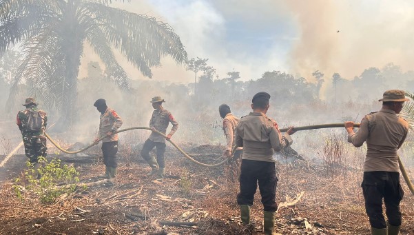 Personel Brimob Pelopor Berjibaku bersama Tim Gabungan Padamkan Kebakaran Lahan di Nagan Raya