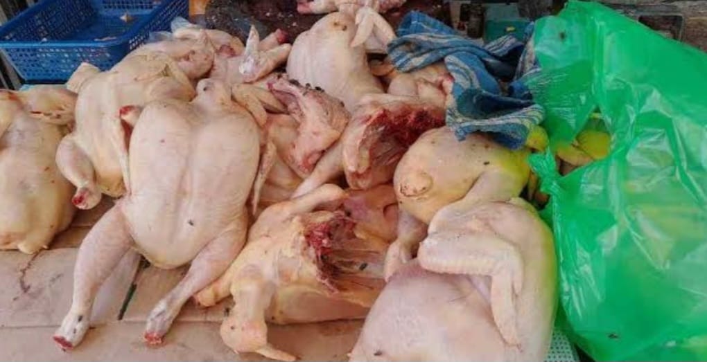 Disnak Aceh temui Harga Ayam Melambung, Kadisperindag Aceh Tenggara Lakukan Pemantauan