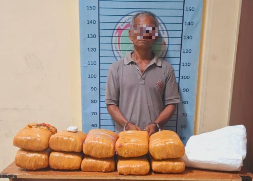 Gendong Ganja 10 bal, Pria Paruh Baya Digelandang Polisi Masuk Bui di Aceh Tenggara