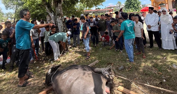 Aceh Singkil sembelih 1.084 hewan Qurban Idul Adha 2026, Gunung Meriah posisi tertinggi 242 ekor