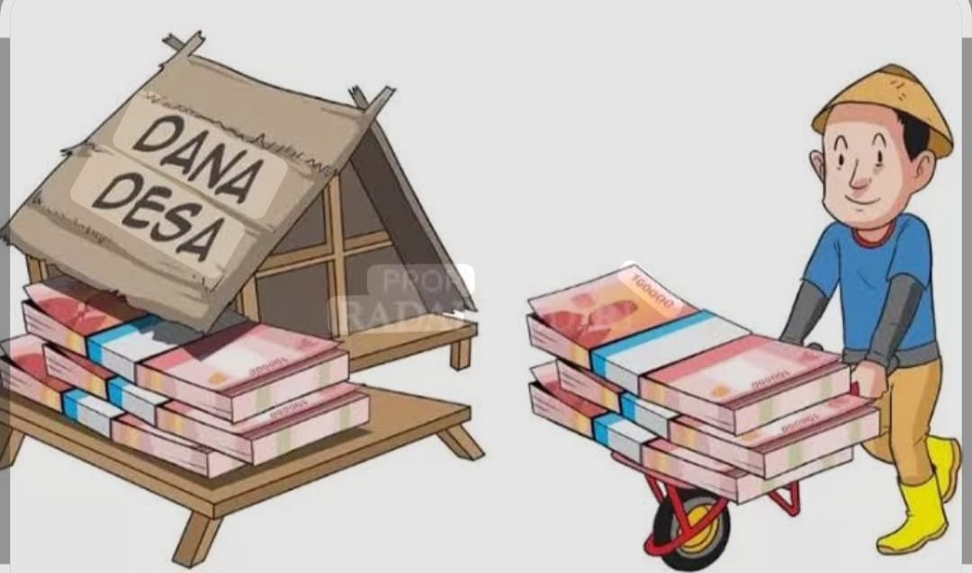 Program Titipan pada Dana Desa di Aceh Tenggara, Seperti Penumpang Gelap dan Sasaran Empuk