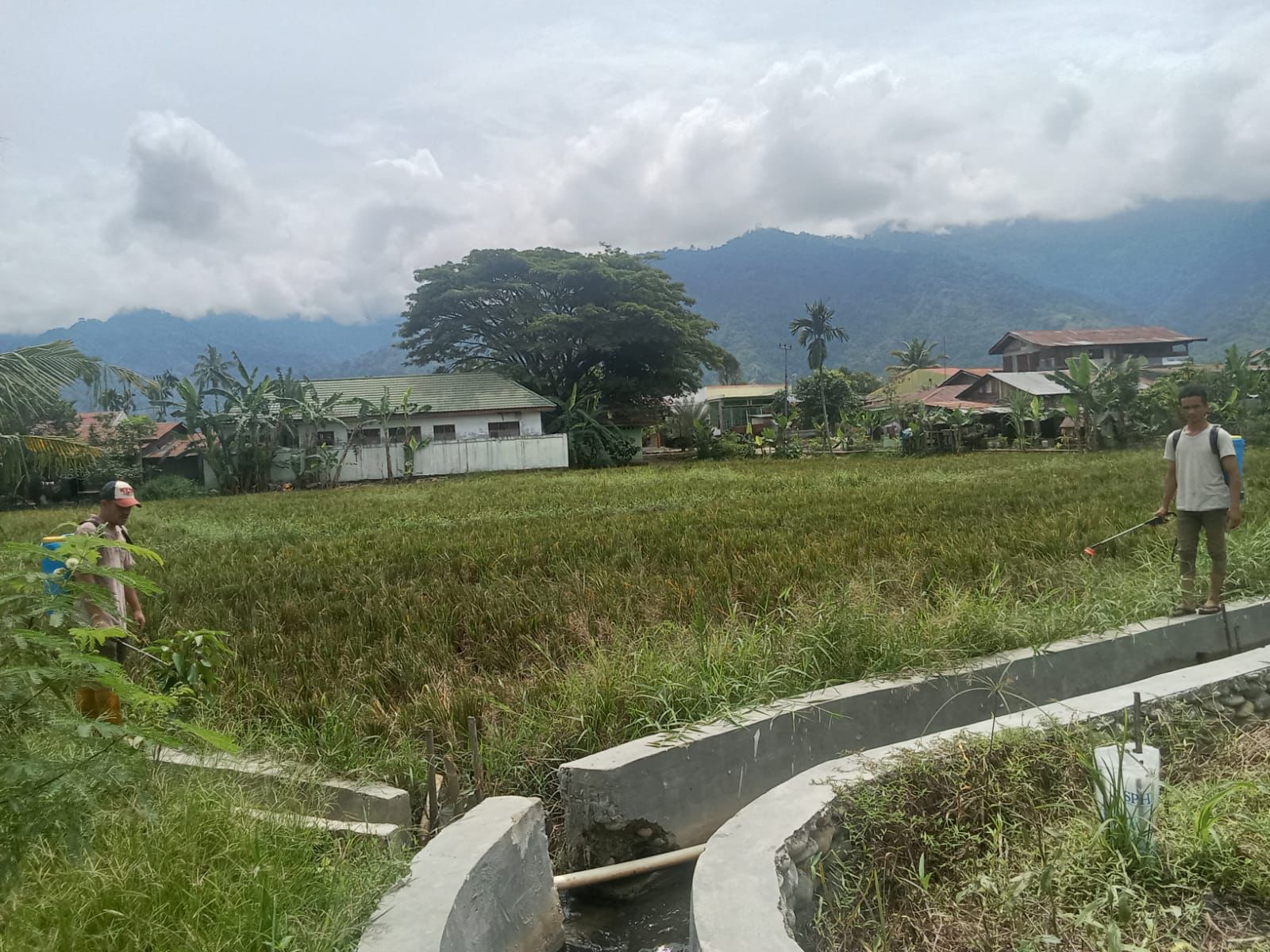 Belum Habis Kontrak, Tanah Aset Milik Daerah di Alihkan ke Penyewa Baru