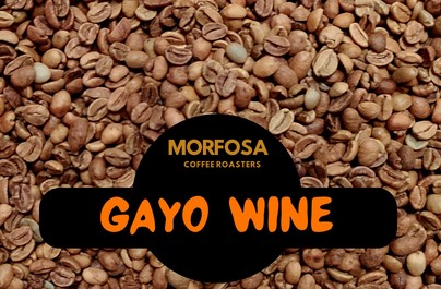 Haili Yoga: Ekspor Kopi Gayo Wine 19,2 ton ke Dubai, Bukti Anak Muda Aceh Tengah mampu bekerja