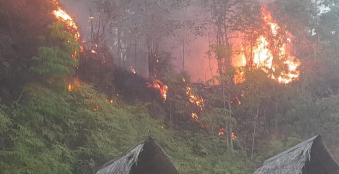 Seluas 2,5 Hektar Kebun Warga di Aceh Tenggara, Tinggal Puing dan Jadi Arang Dimangsa Api