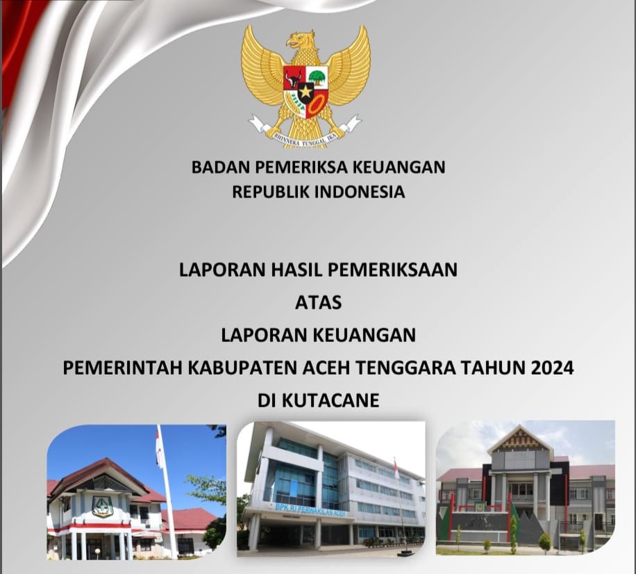 LHP BPK-RI: Laporan Realisasi APBK Kabupaten Aceh Tenggara Tahun 2024 dan 2023