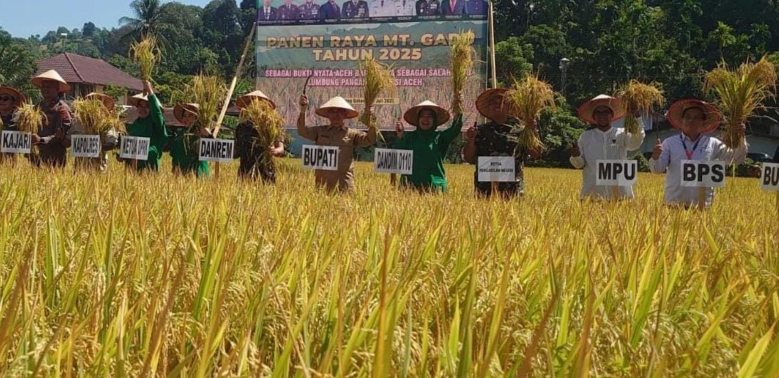 Panen Raya di Abdya, Danrem 012/TU Berpesan, Anak Muda Jangan Malu Jadi Petani Banyak Sukses