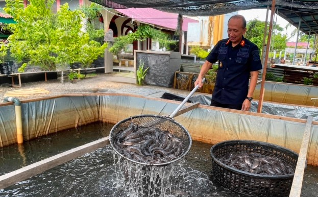 Dukung Asta Cita Presiden, Warga Binaan Lapas Meulaboh Panen 358 kg Ikan Lele