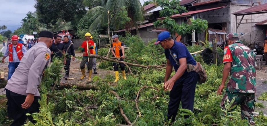 Pohon Tumbang Tutup Jalan Nasional di Kluet Utara Aceh Selatan, TNI–Polri Bertindak Cepat Atasi Gangguan Lalu Lintas