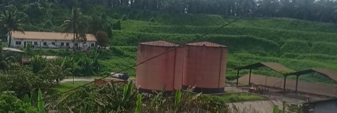 Pemerintah Aceh Bentuk Tim Peninjauan PT Ensem Lestari, HIMAPAS Minta Pengawasan Serius