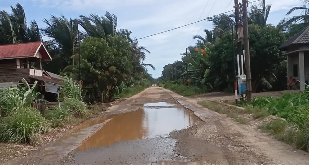 Nasib Ruas Jalan Menuju Kota Bahagia Aceh Selatan, Dipenuhi Lubang dan Tergenang air