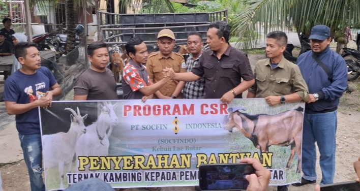 CSR PT Socfindo Bantu Bibit Kambing untuk Kelompok Tani ‘Malum Ate’ Pemuda di Aceh Singkil