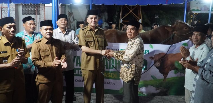 Sapi Bantuan Presiden Prabowo seberat 1 ton, diserahkan Bupati Mirwan MS kepada Warga Samadua