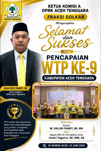 Iklan WTP Aceh Tenggara ke 9